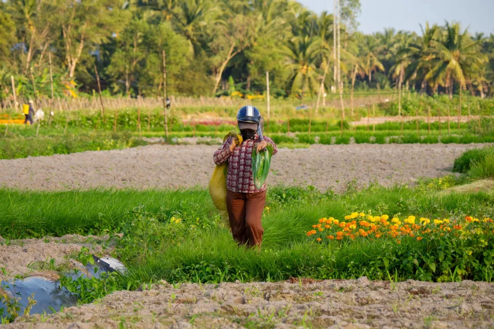 Loại bà con hay mua nhất