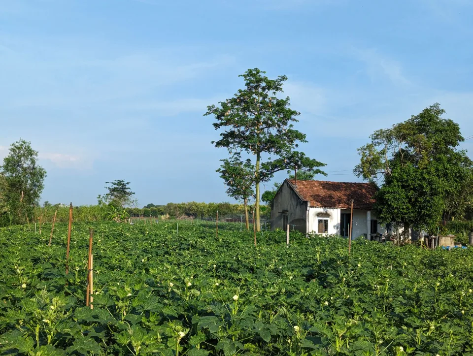 Khu trưng bày phân bón